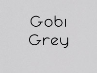 plan de travail GobiGrey.jpg